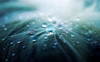 water-droplets-955929_1280